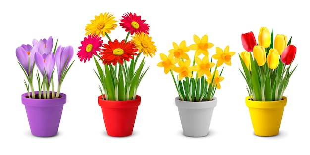 Kolekcja Wiosenno-letnich Kolorowych Kwiatów W Doniczkach I Konewka