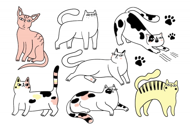 Kolekcja zabawnych kotów. Pakiet różnych kotów kreskówka na białym tle Ręcznie rysowane ilustracji
