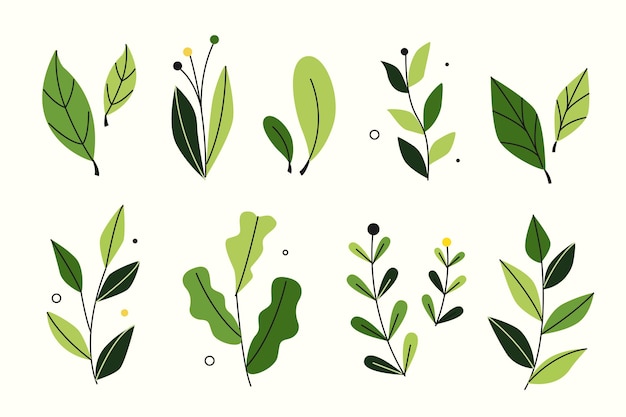 Kolekcja zielonych liści w stylu płaskim