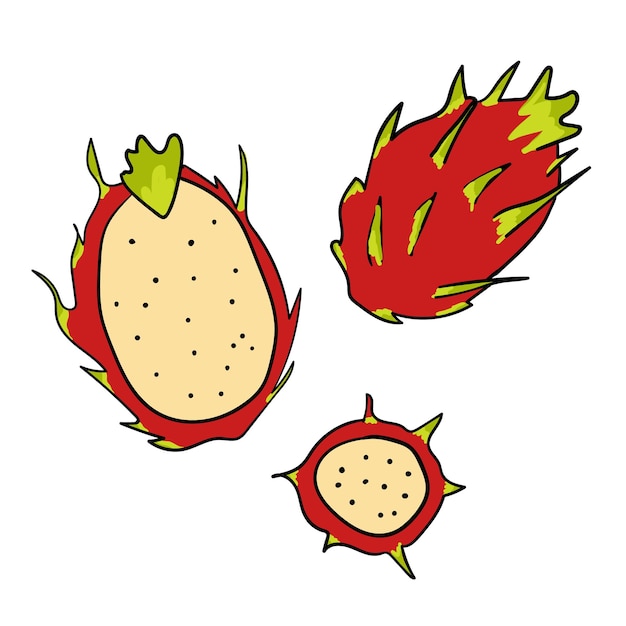 Plik wektorowy kolorowa ilustracja dragon fruit tradycyjna kuchnia meksykańska i składniki latin food
