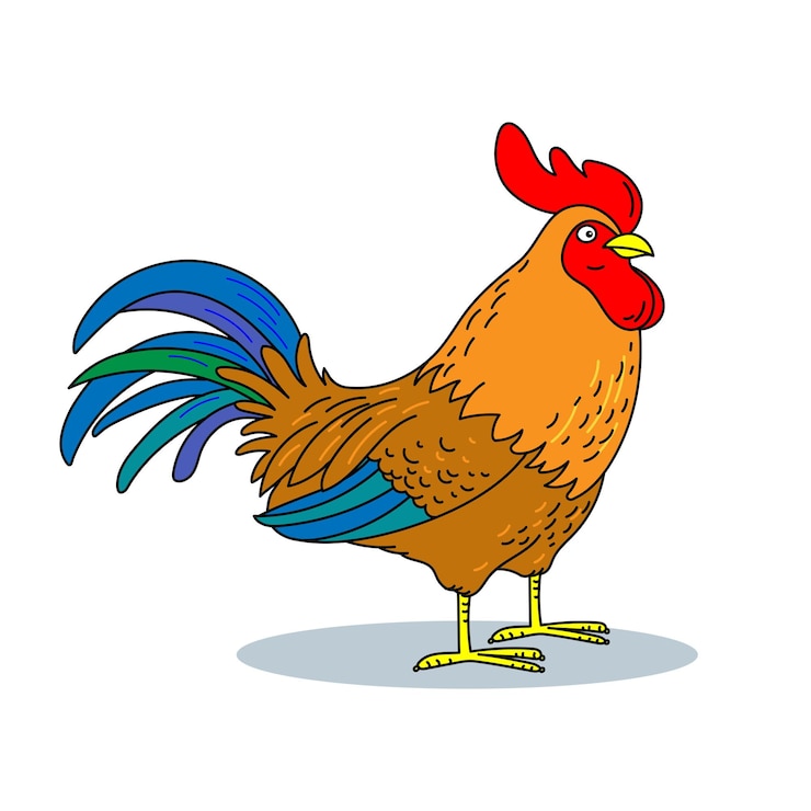Wektor kolorowa ilustracja koguta na białym tle
