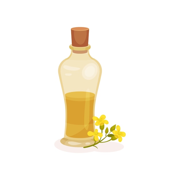Plik wektorowy kolorowa ilustracja przezroczystej szklanej butelki ze świeżym olejem z rzepaków i małymi żółtymi kwiatami naturalny i zdrowy produkt organiczny składnik kuchenny płaska ikona wektora izolowana na białym tle