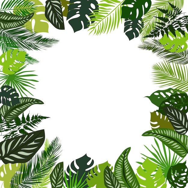Kolorowa Ramka Z Zielonych Tropikalnych Liści W Pięknym Stylu Na Białym Tle Dekoracja Z Liści