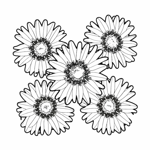 Kolorowanie kwiatów aster.