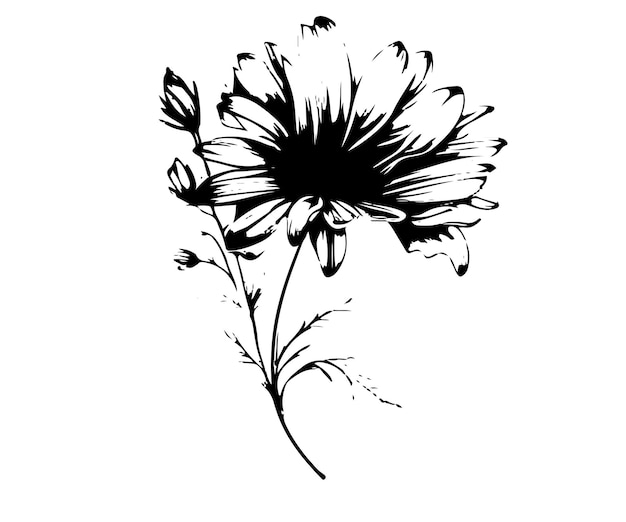 Kolorowanie Szkic Ręcznie rysowane pojedyncza linia kwiat sztuki wykorzystania plakatu logo i tła