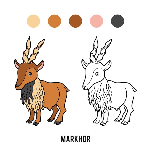 Kolorowanka Dla Dzieci, Markhor