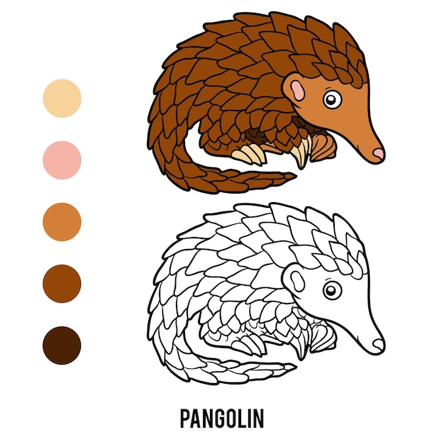 Kolorowanka Dla Dzieci, Pangolin