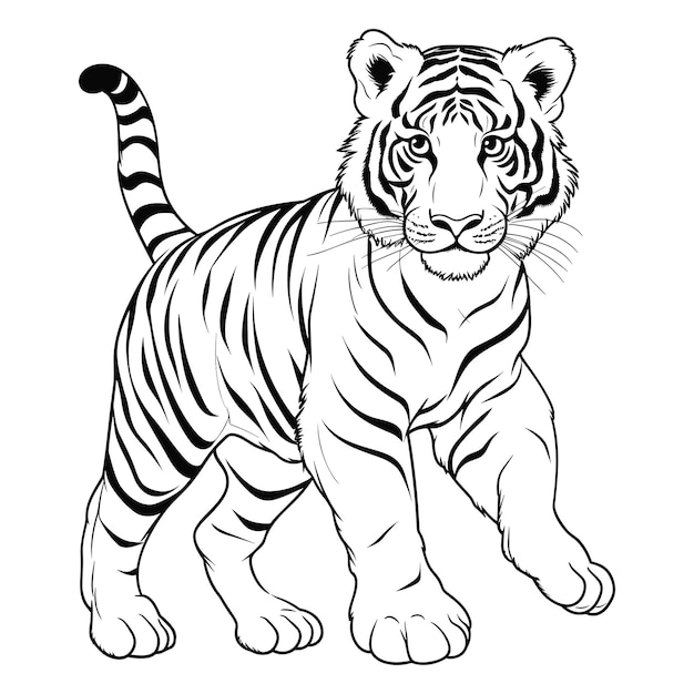 Plik wektorowy kolorowanka tygrys dla dzieci