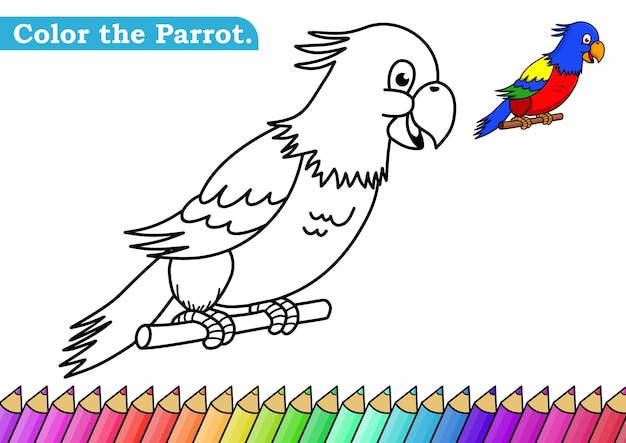 Plik wektorowy kolorowanki dla ilustracji wektorowych papugi przedszkole kolorowanki arkusz aktywności