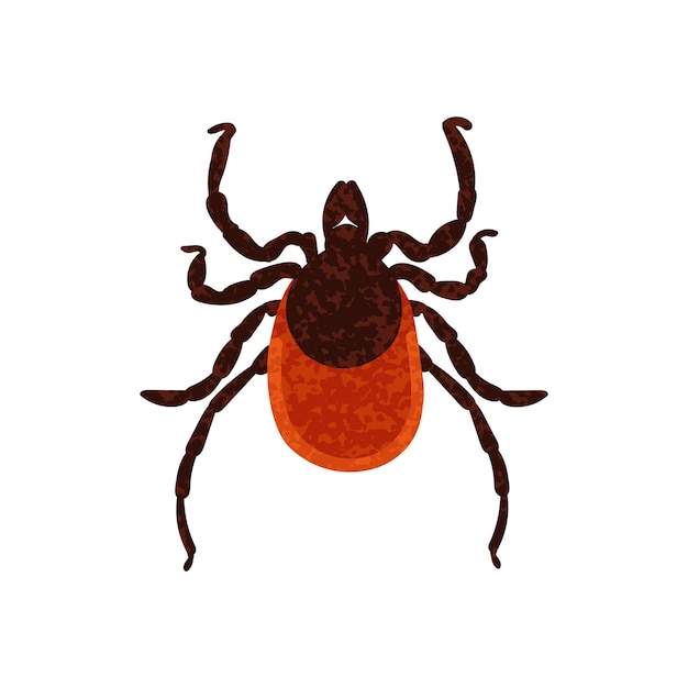 Kolorowe ilustracje mitów