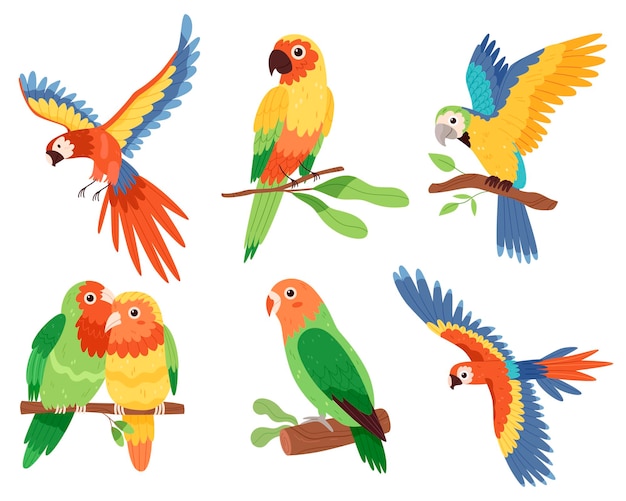 Plik wektorowy kolorowe kompozycje z papugami na tropikalnych liściach w jasnych kolorach