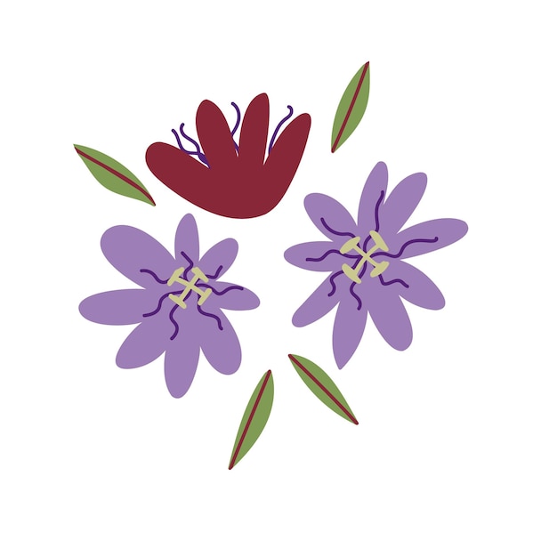 Kolorowe kwiaty marakui Kwitnące fioletowe rośliny handdrawn na białym tle na białym tle Styl kreskówki Grafika wektorowa Wydrukuj szablon plakatu logo