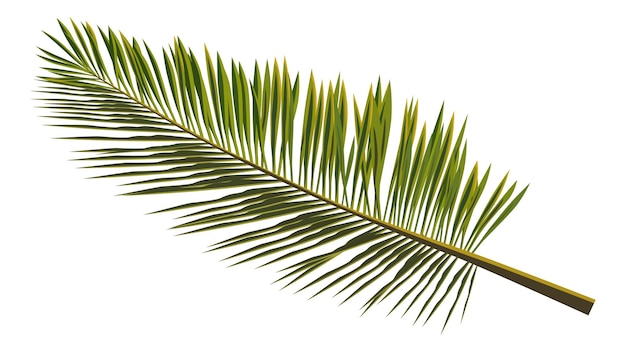 Plik wektorowy kolorowe realistyczne liście palmowe na białym gałąź palmy do komponowania ilustracji wektorowych kolażu