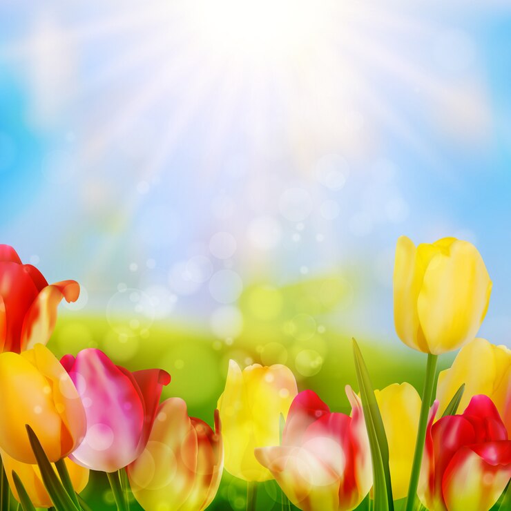 Wektor kolorowe wiosenne kwiaty tulipany.