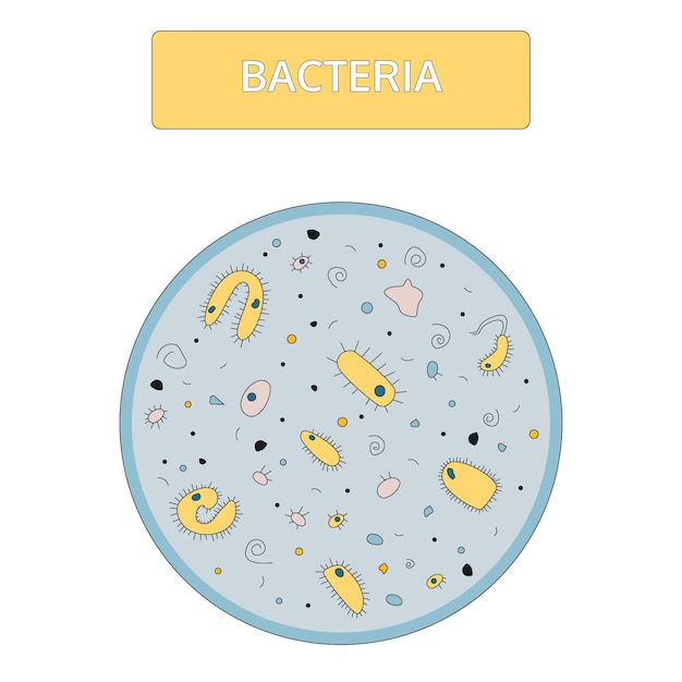 Kolorowe żółte Bakterie Z Niebieskim Jądrem Na Niebieskim Tle Pod Mikroskopem