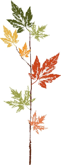 Plik wektorowy kolorowy nadruk opadłego jesiennego liścia. liść akwarela.