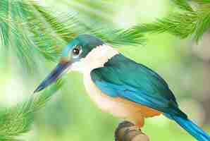 Plik wektorowy kolorowy ptak w natury tle