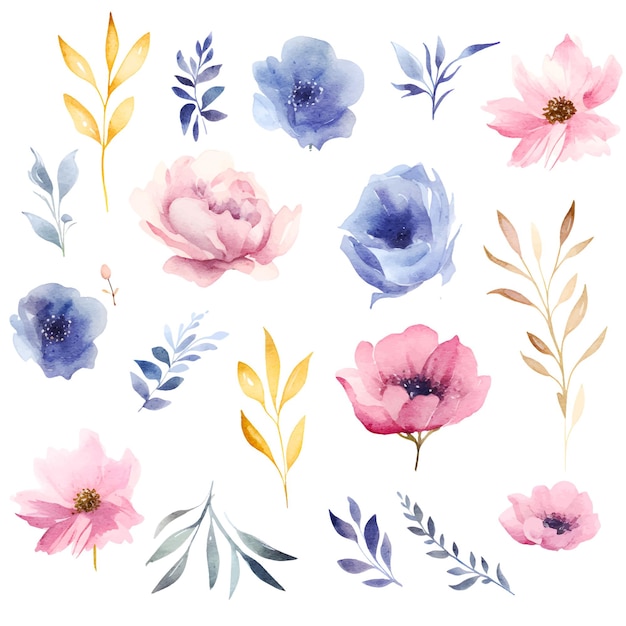 Plik wektorowy kolorowy rysunek akwarelowy kwiatowy projekt