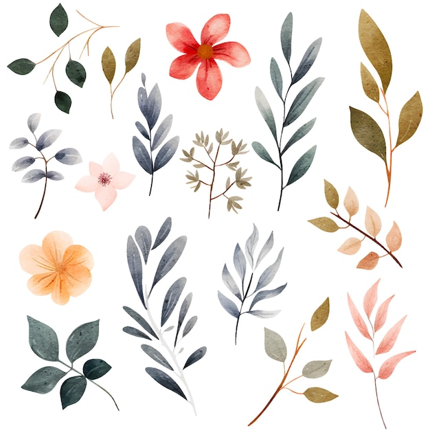 Plik wektorowy kolorowy rysunek akwarelowy kwiatowy projekt