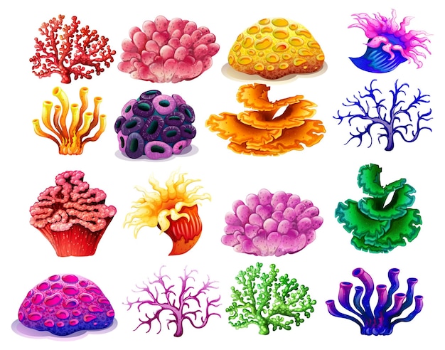 Plik wektorowy kolorowy zbiór ilustracji koralowych