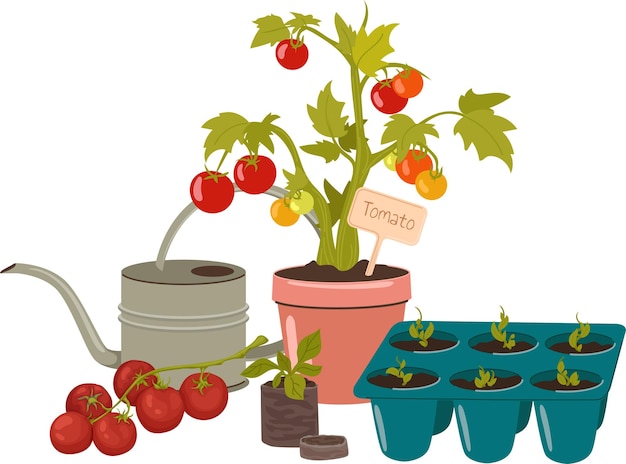 Plik wektorowy kompozycja ogrodnicza uprawa pomidorów zestaw hobby ogrodnicze różnych akcesoriów ogrodowych