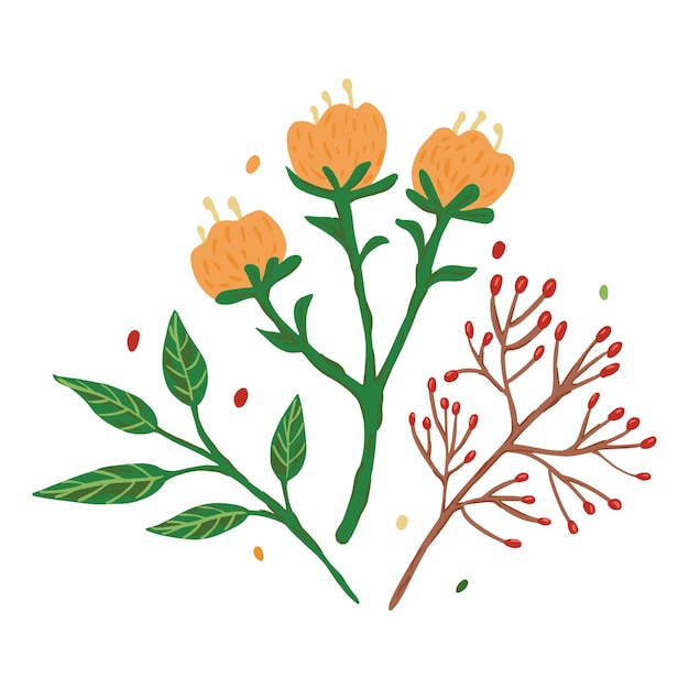 Kompozycja Z Kwiatów I Liści Na Białym Tle. Streszczenie Szkic Botaniczny Ręcznie Rysowane W Stylu Doodle Ilustracji Wektorowych.
