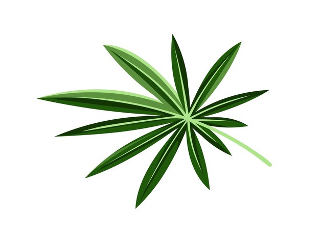 Koncepcja egzotycznego liścia Tropikalna gałąź i część rośliny Dżungla i las deszczowy Florystyka i botanika Naklejka dla sieci społecznościowych Ilustracja kreskówka płaski wektor izolowany na białym tle