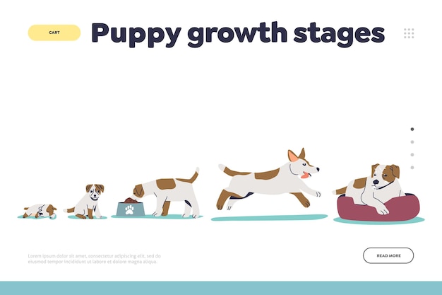 Koncepcja Etapów Wzrostu Szczeniaka Strony Docelowej Z Psem Rosnącym Od Małego Szczeniaka Do Dorosłego Psa. Rozwój Zwierząt Domowych. Proces Uprawy Przyjaciela Domu. Ilustracja Kreskówka Płaski Wektor