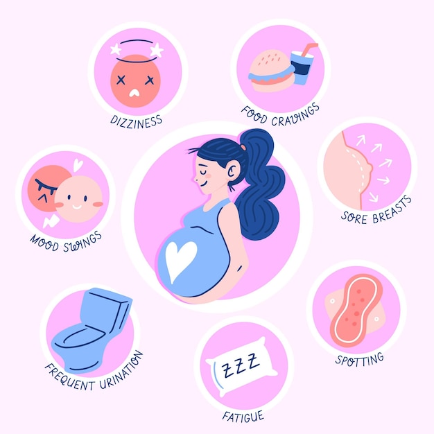 Koncepcja Ilustracja Objawy Ciąży