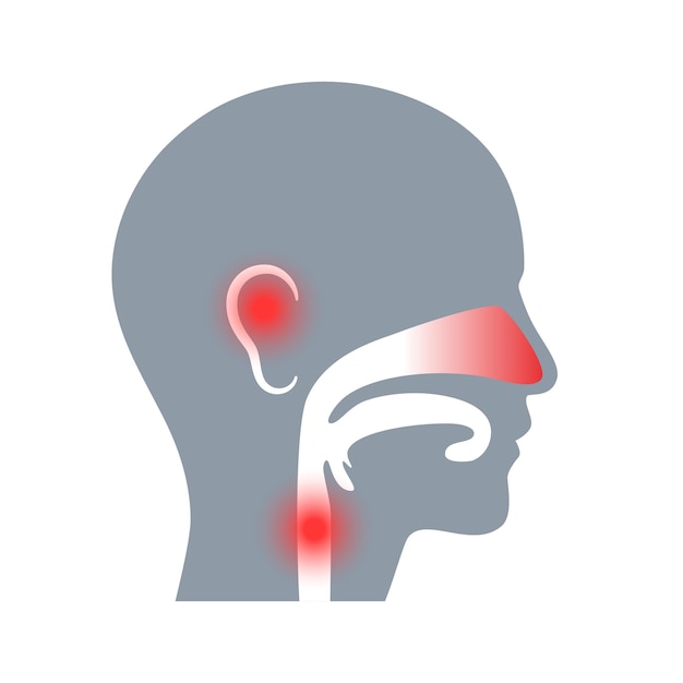 Koncepcja kliniki otolaryngologicznej