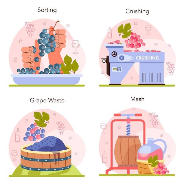 Plik wektorowy koncepcja produkcji wina ustawia selekcję winogron i przetwarzanie jagód winogron