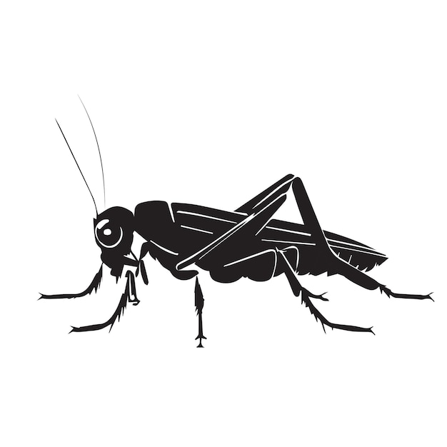 Plik wektorowy konik polny czarno-biały wektor ikona minimalna prosta ilustracja błędu czarna sylwetka owada