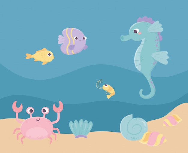 Koniki morskie ryby kraba krewetki piasek życia kreskówka pod morzem