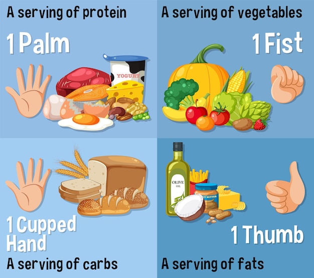 Plik wektorowy kontrola porcji porównanie ilości żywności za pomocą ludzkiej ręki