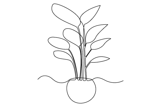 Kontynuuje rysunek jednej linii eleganckich roślin w ilustratorze wektorowym wazonów