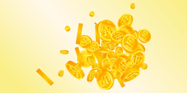 Koreańskie wygrane monety spadające Rozproszone złoto WYGRAŁ