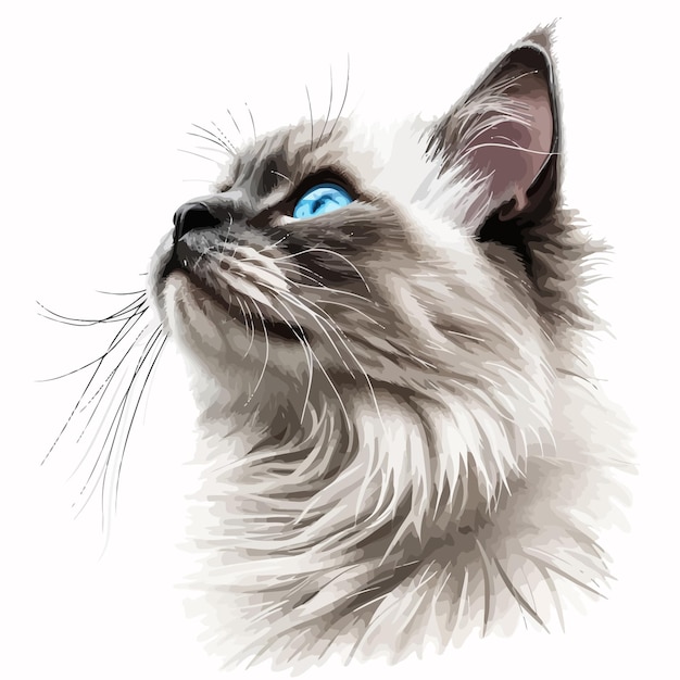 Plik wektorowy koszulka z kreskówek ze słodkim kotem png