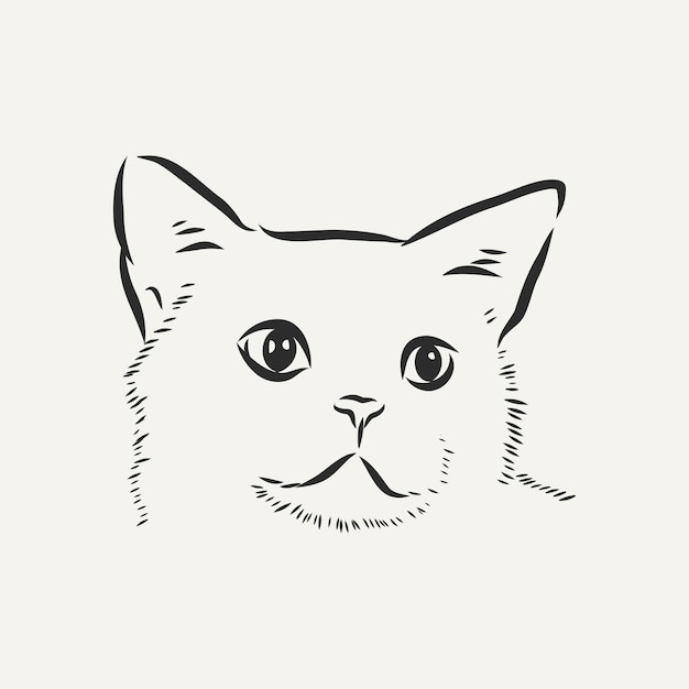 Kot Domowy Realistyczny Szkic Wektor Ilustracja Znak Kota