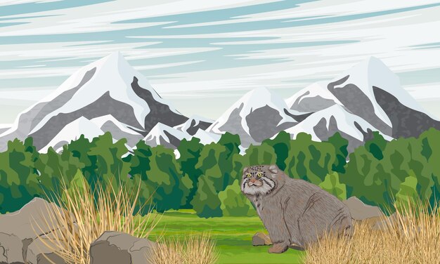 Plik wektorowy kot pallass przechodzi przez dolinę z trawą i krzewami u podnóża gór