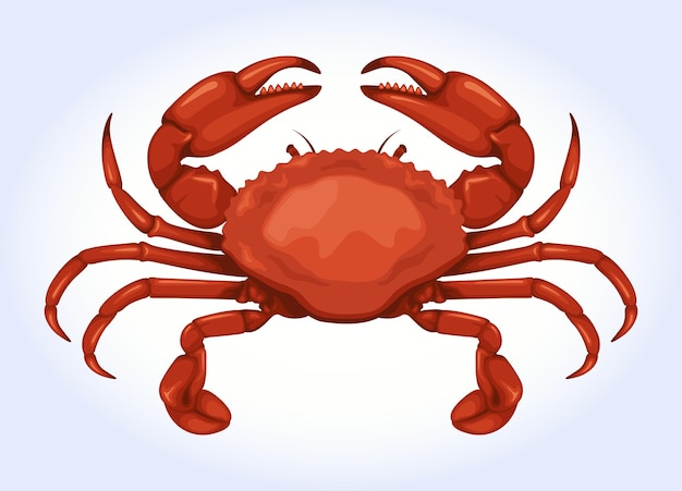 Krab Zwierząt Sea Food Ilustracja Wektorowa