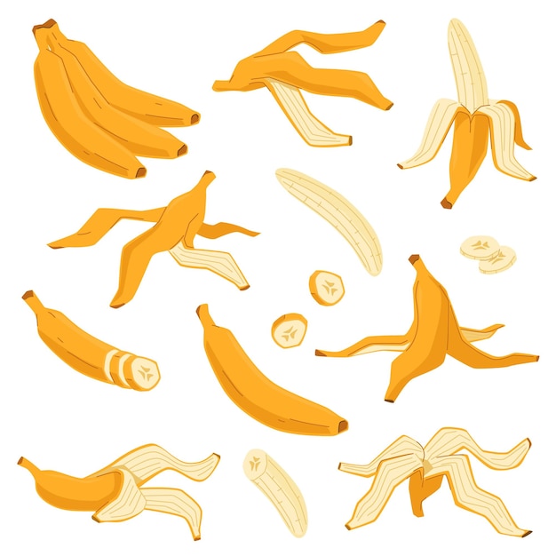 Plik wektorowy kreskówka banan żółte owoce tropikalne nieobrane w całości i kawałki pęczek i skórka słodki smak egzotyczne naturalne surowe jedzenie słodka przekąska węglowodanowa smaczny posiłek obecnie wektor izolowany zestaw
