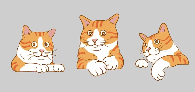 kreskówka ciekawy peeking pomarańczowe koty ilustracje wektorowe odizolowane