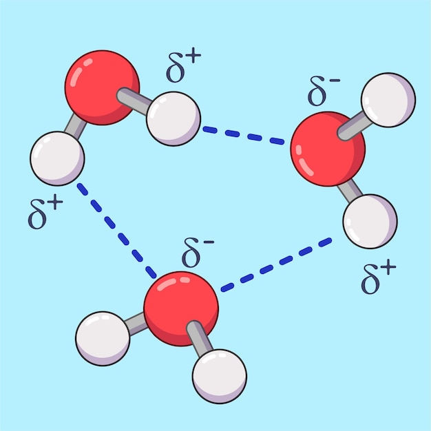 Kreskówka Cząsteczki Wody Z Wiązaniami Wodorowymi