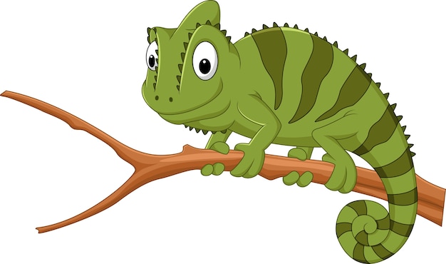 Kreskówka kameleon na gałęzi