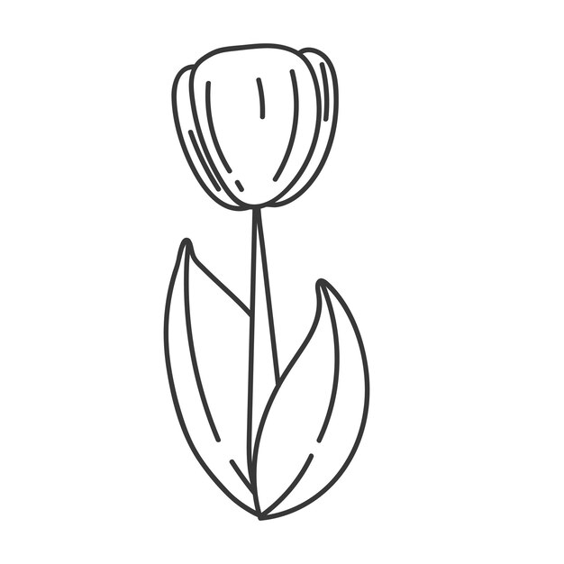 Kreskówka ładny Tulipan Z Zieloną łodygą Wektor Ilustracja Wiosenne Kwiaty