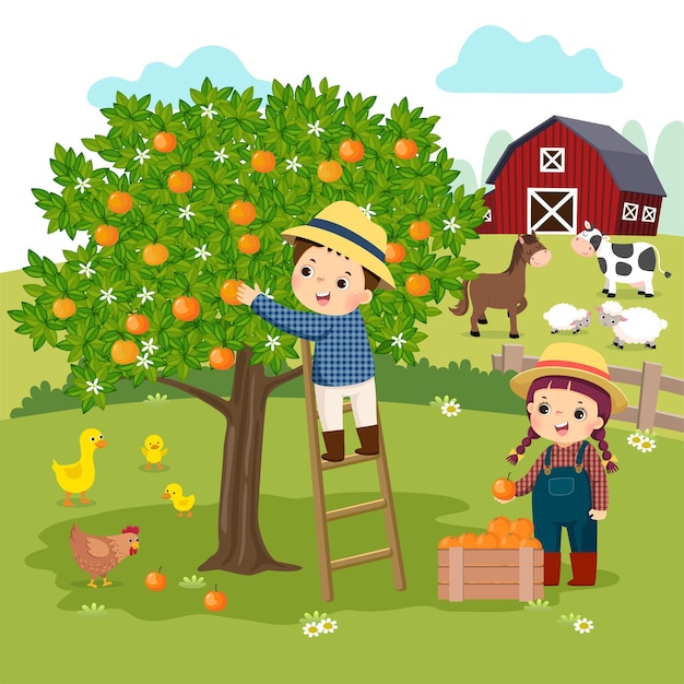 kreskówka małego chłopca i dziewczynki zbierając pomarańcze w gospodarstwie