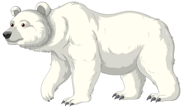 kreskówka niedźwiedź polarny