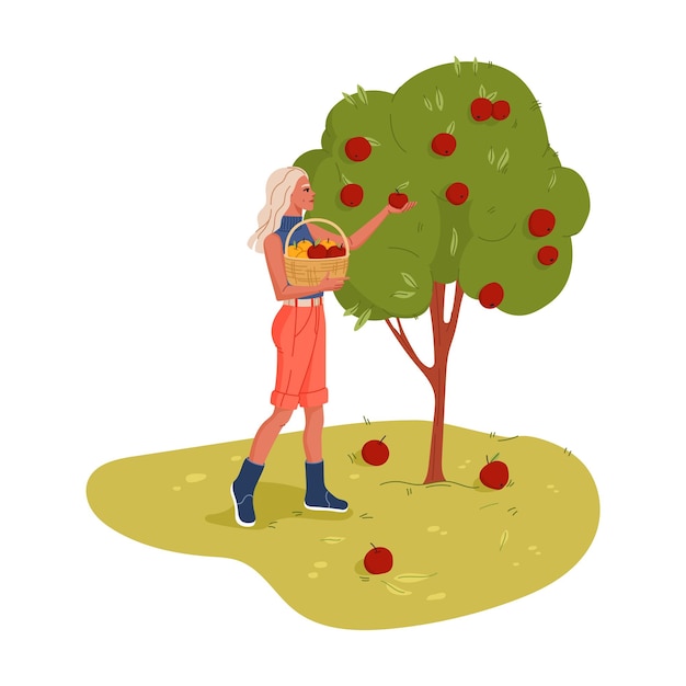 Plik wektorowy kreskówka ogrodnik lub rolnik zbierający jabłko z drzewa