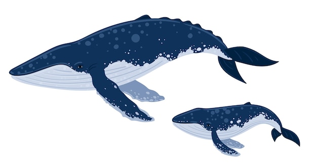 Kreskówka Płetwal Błękitny Matka Z Dzieckiem Podwodny świat życie Morskie Ilustracja Wektorowa Wieloryb