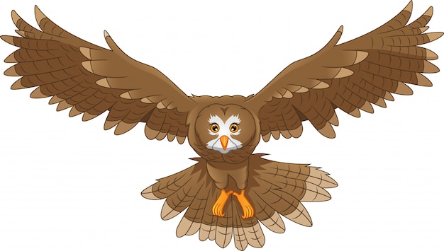 Plik wektorowy kreskówka ptak sowa